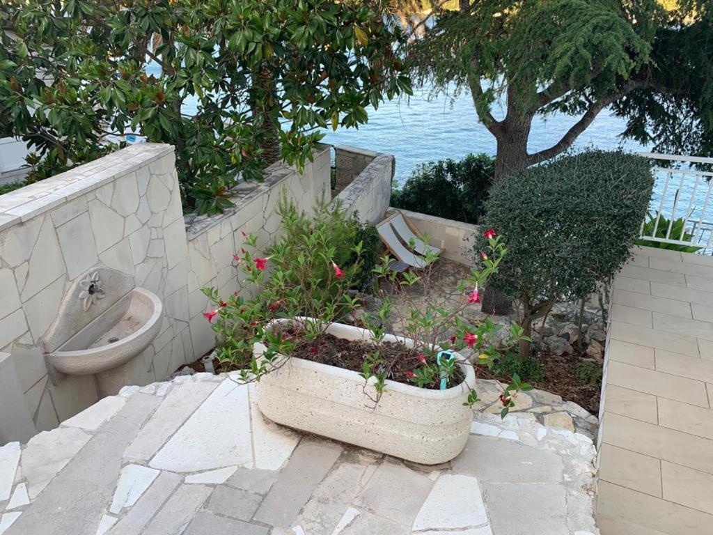 Studio Apartments More Korčula Екстериор снимка